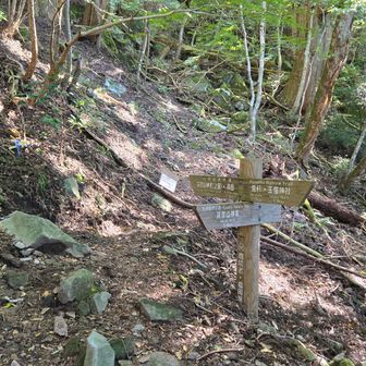 ４２分で裏英彦山分岐