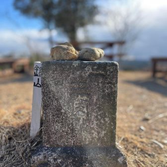 点名: 鍋山
標高: 81.7 m
種別: 一等三角点