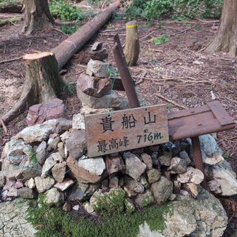 貴船山 716ピーク