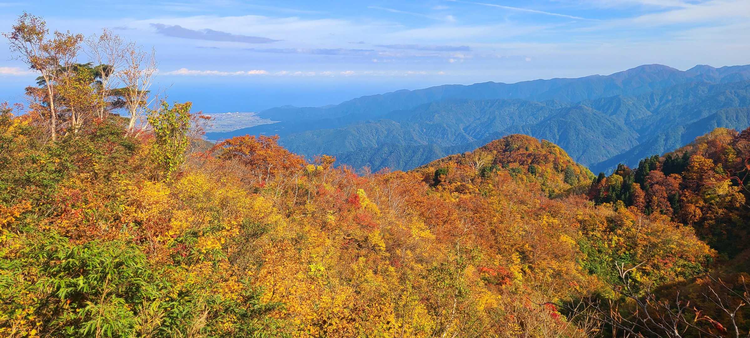 前僧ヶ岳-僧ヶ岳-北駒ヶ岳-駒ヶ岳 往復コースの写真