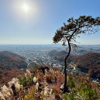 ほうー、なるほど絶景ですね。