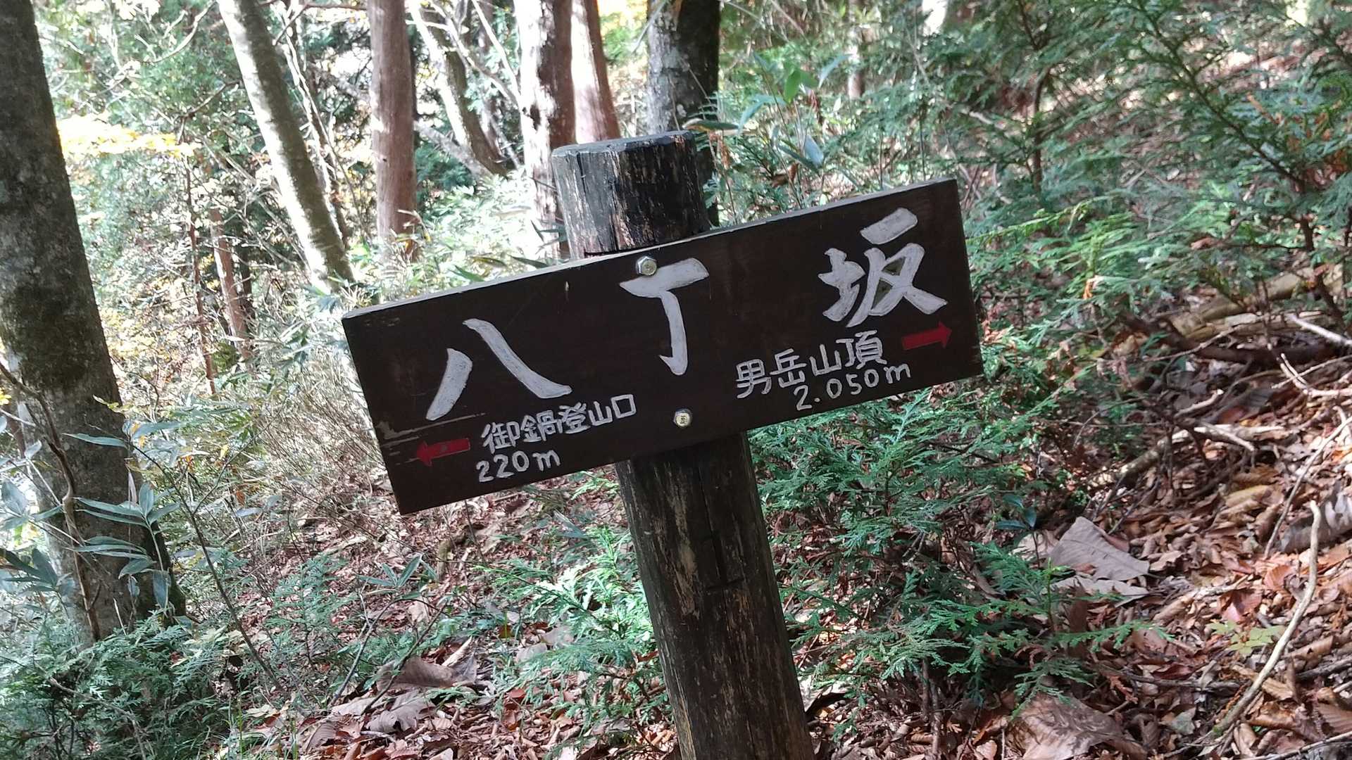 御鍋神社登山口から登りました🎵
登り始めは急登です😅