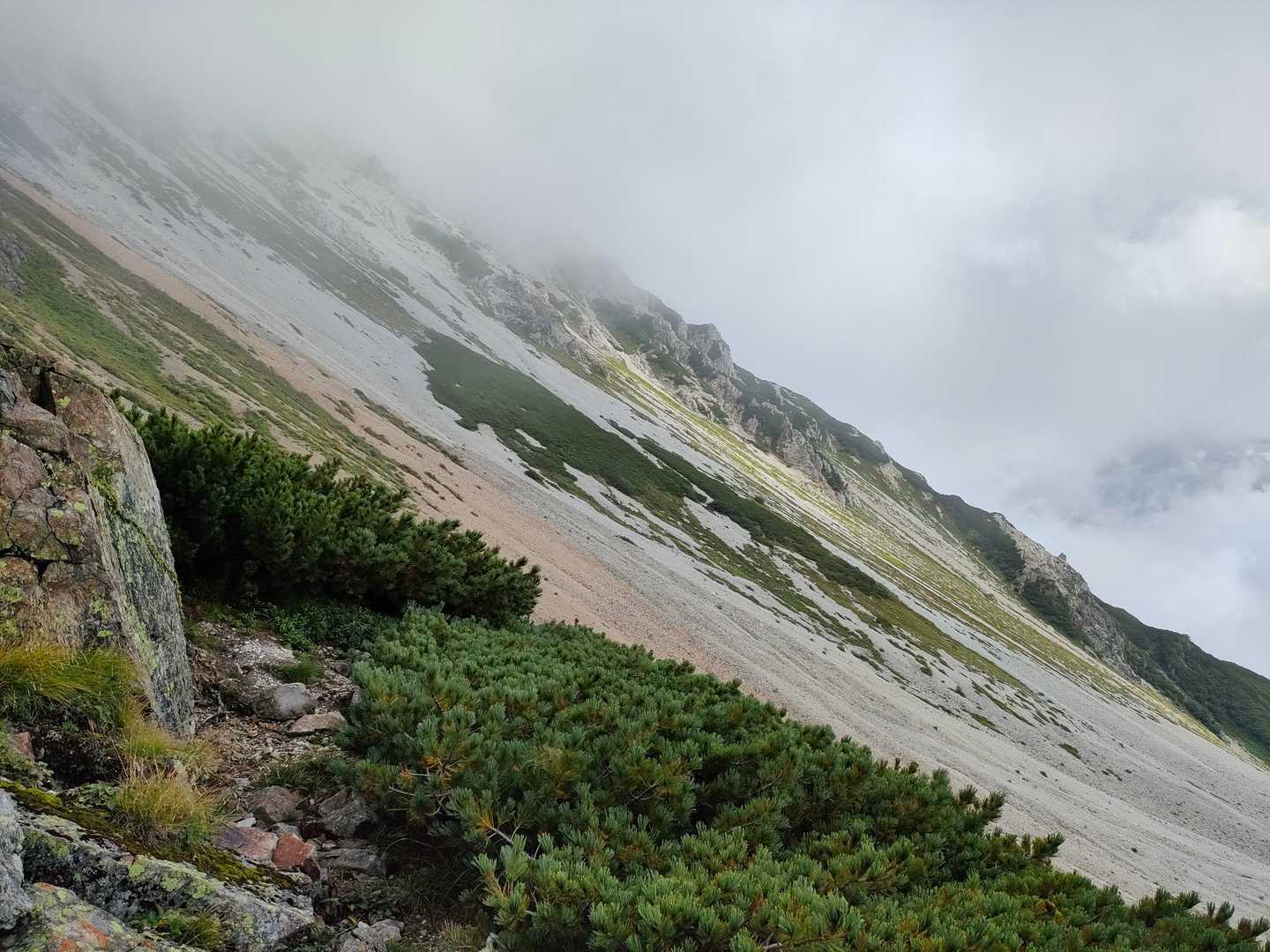 猿倉登山口-白馬鑓ヶ岳 往復コースの写真