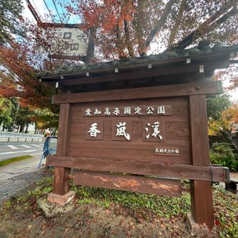 しばらく舗装道路を歩きます🚶‍♀️