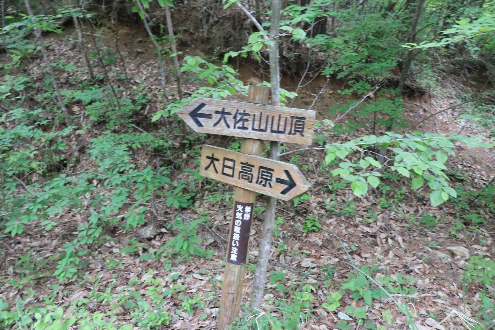 大佐山登山口-大佐山-大佐山登り口 周回コースの写真