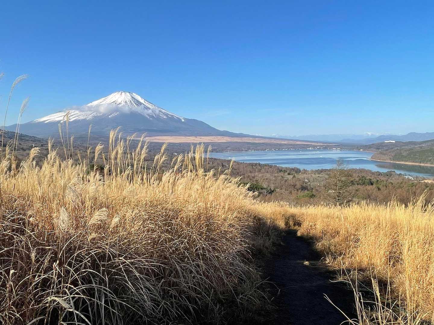 絵に描いた様な富士山😄