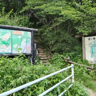 最後は下りもだいぶしんどく、なんとかゴール（活動データは新井口駅まで）
ちょうど１年前の山デビュー時や、先週とは全然違った状況でのこの登山口にちょっと感慨