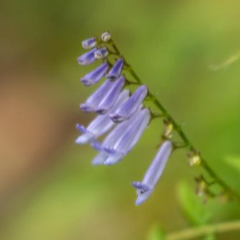雨が怪しいので立烏帽子🅿️から