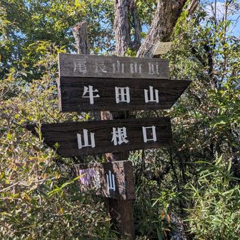 尾長山さんちょ。二葉山方向は一応通行止めのまま。