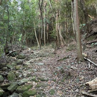 ここも良い道。