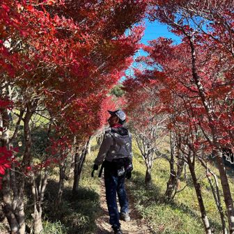 本日はakho＿jiさんにご案内頂きました♪