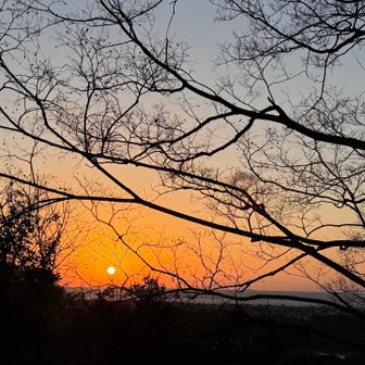 目に染みる夕景