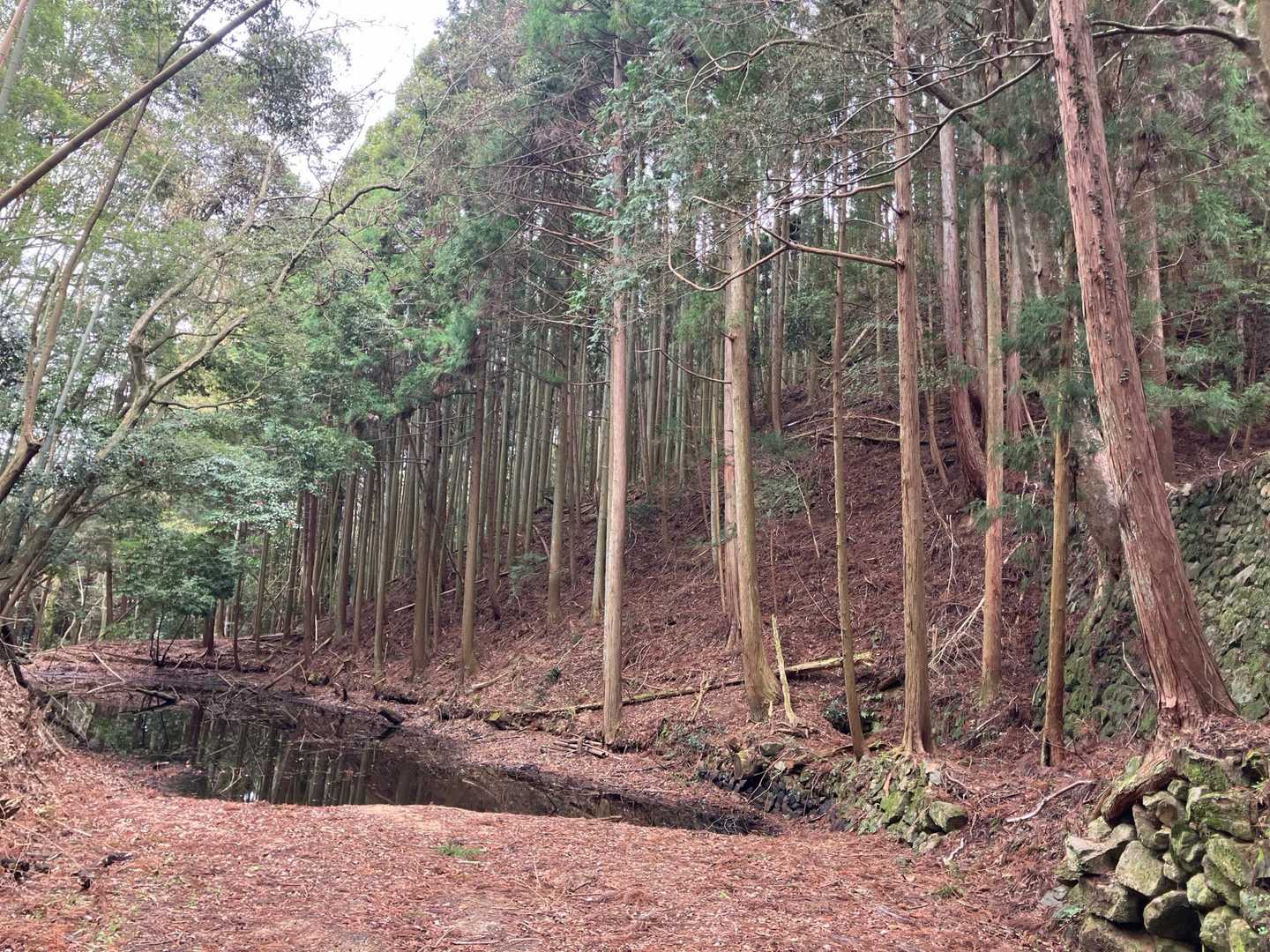 山城には珍しい水堀があったという