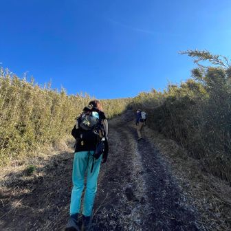 登ったり下ったり
