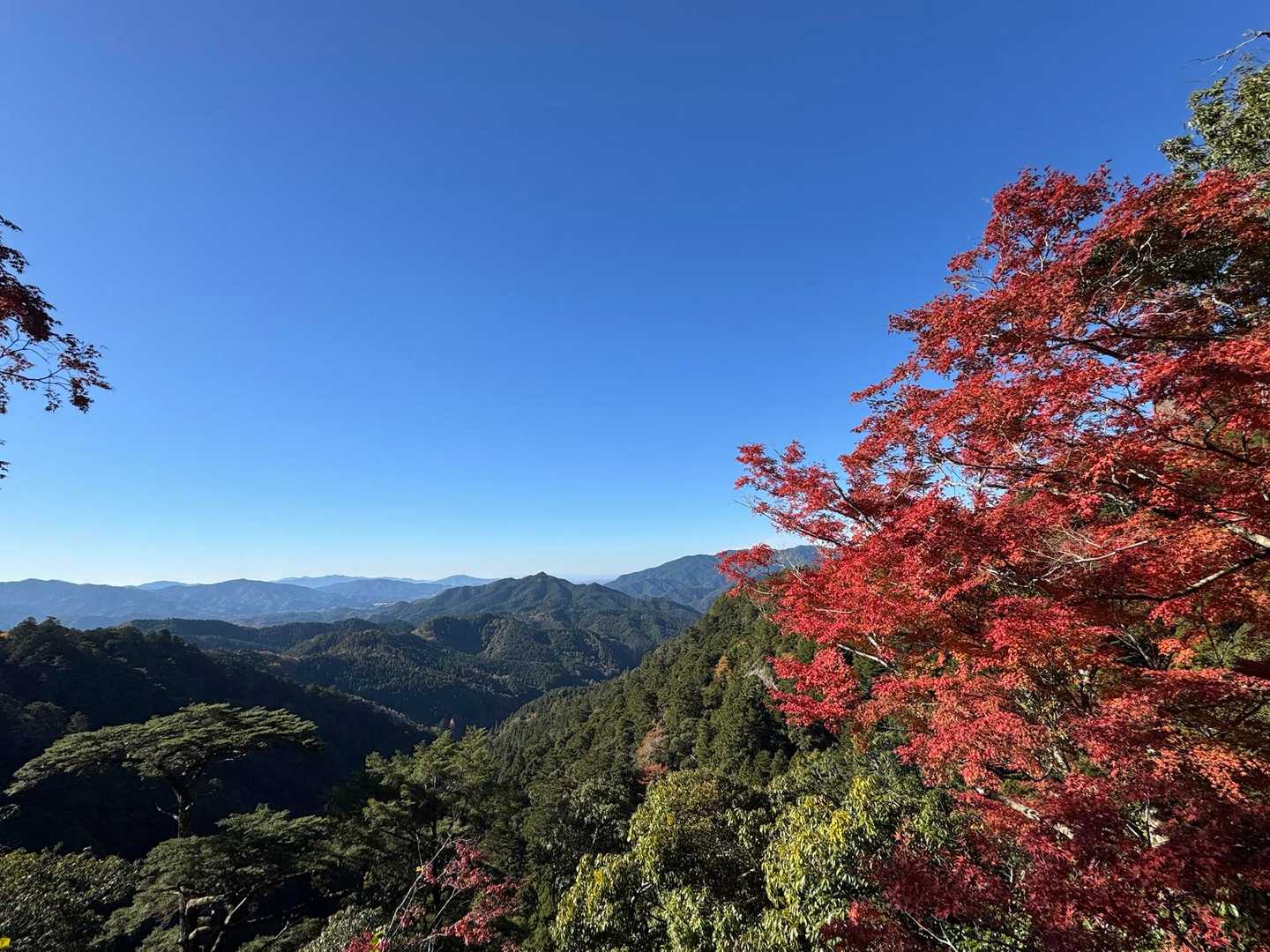 鳳来寺からの眺め。これだけでもう満足。