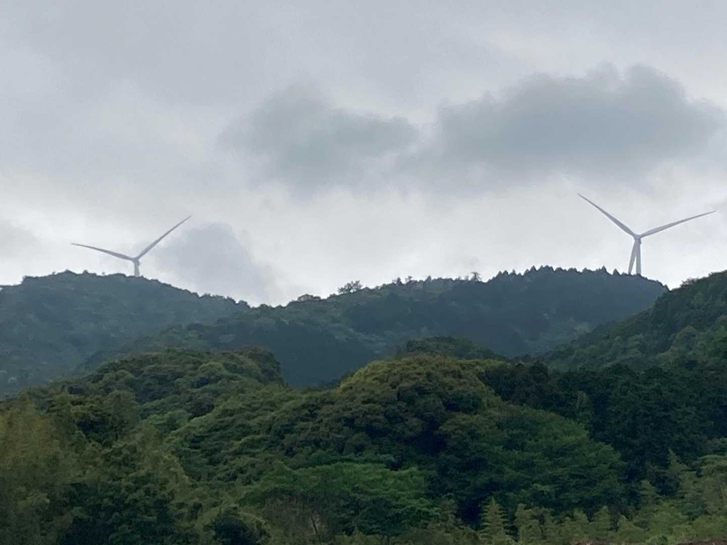 これが、ブォーンブォーンの犯人🫆

下からでは音は聞こえないけど、間違いない🧐