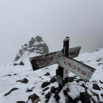 このお天気なので最短で山頂へ