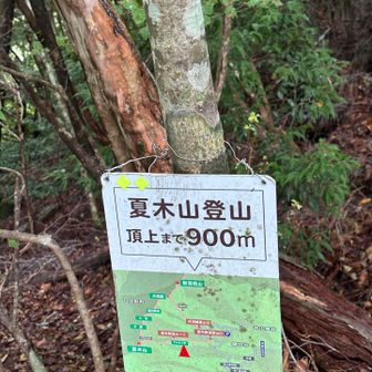 この時は、
「コース定数13、楽勝っしょ！？」
…と思ってました。

（まさかヒル🐛に泣くことになるとは！！！）