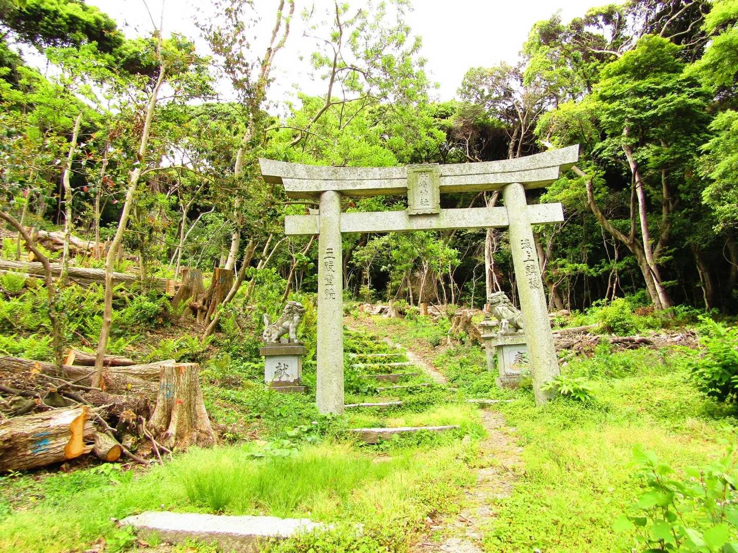 どうやら赤い鳥居の手前から右に見えた散策道を進むらしいと認識して引き返しました😆
写真のここから山道ですが石段の参道です^^;