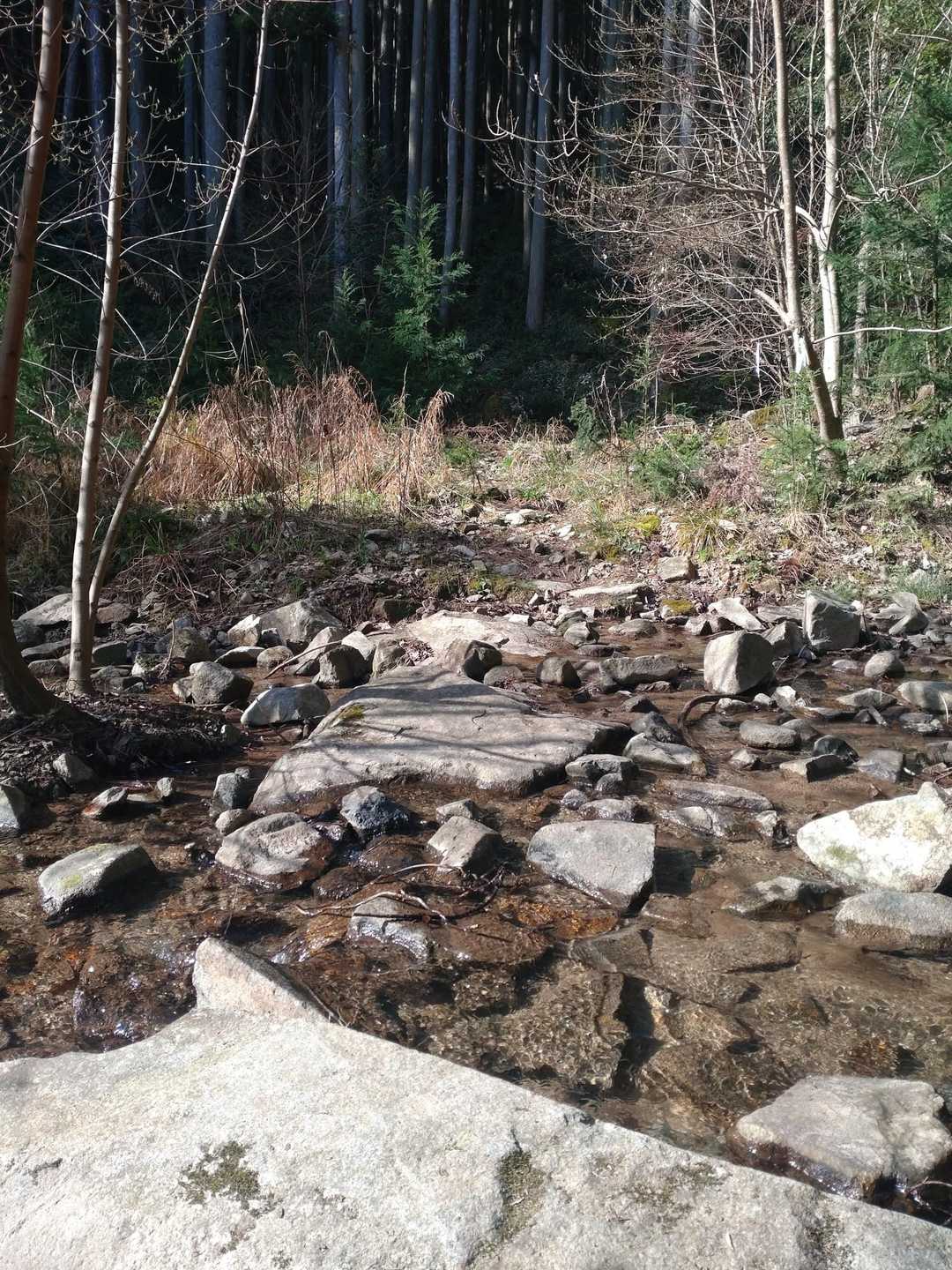 いい感じの沢
