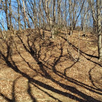 848M下り
車道出合