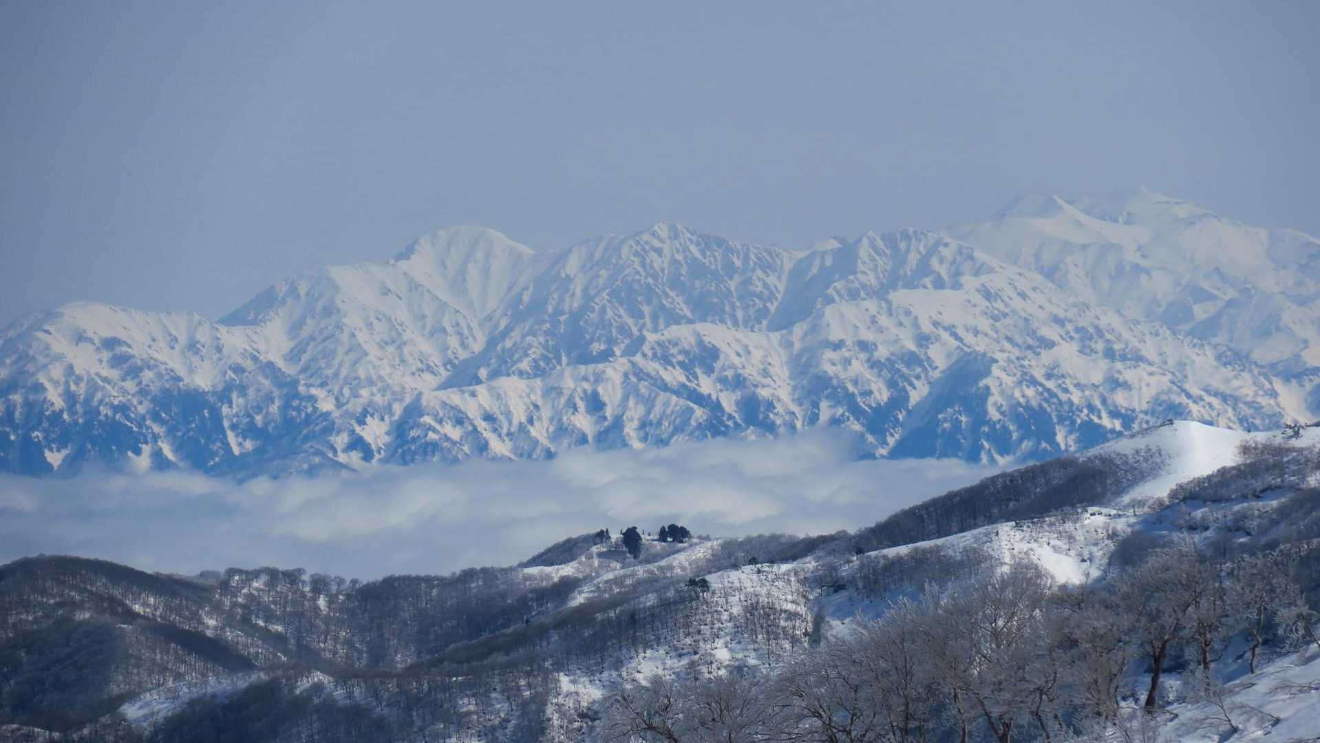 栃谷登山口-片折岳-金剛堂山-中金剛堂山 往復コースの写真