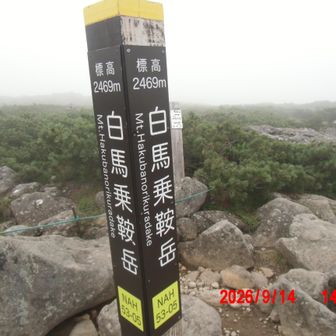 白馬乗鞍岳の標柱
標柱には2469mと書いてあるが、ここから南側約200m先の小高い丘が頂上のように見え、地図を見ると矢張り200m南側先が山の山頂となっいる。
でも地図の標高は2456mとここより低い表示、なぜ？
