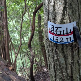 はい、山頂到着。