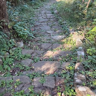 ずっとこんな感じ