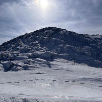 もこもこ感がカコイチ✨
