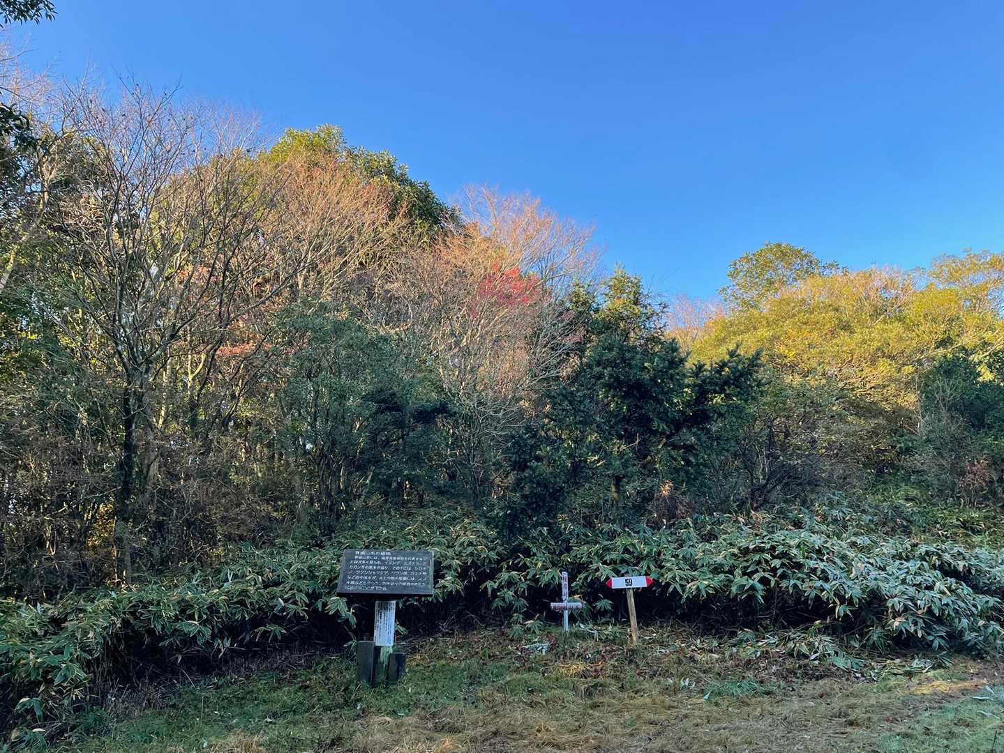 椎原峠。