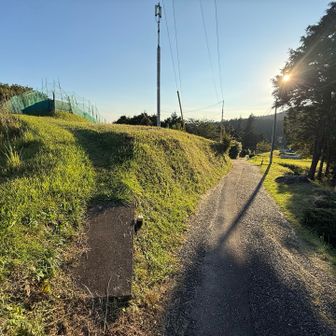 ここ左のようです。車道ではなかった。