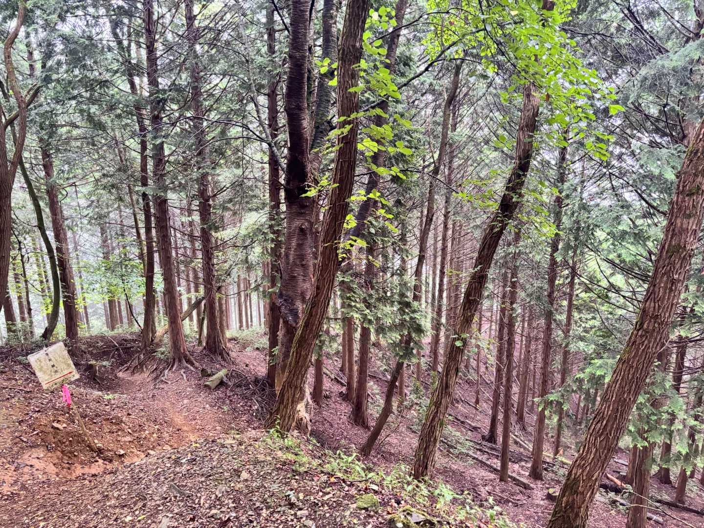 武甲山 周回コースの写真