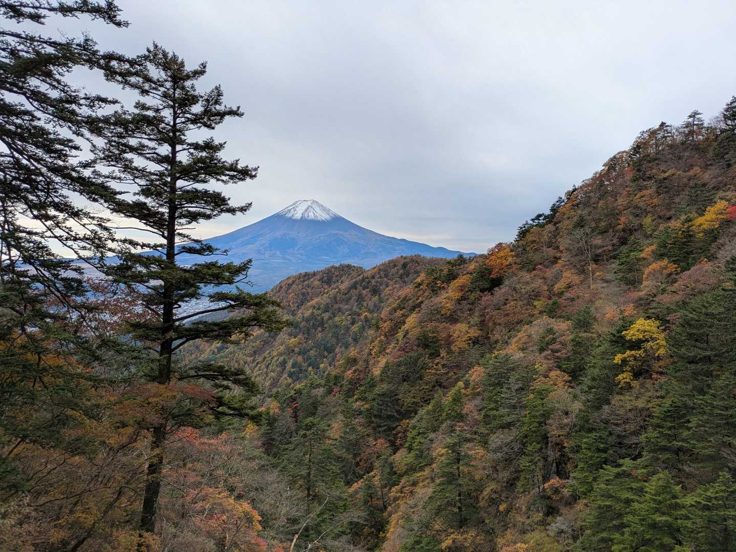 憩いの森公園駐車場-三ッ峠山 往復コースの写真
