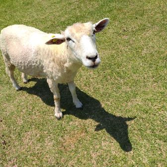 情報もらしましたよね