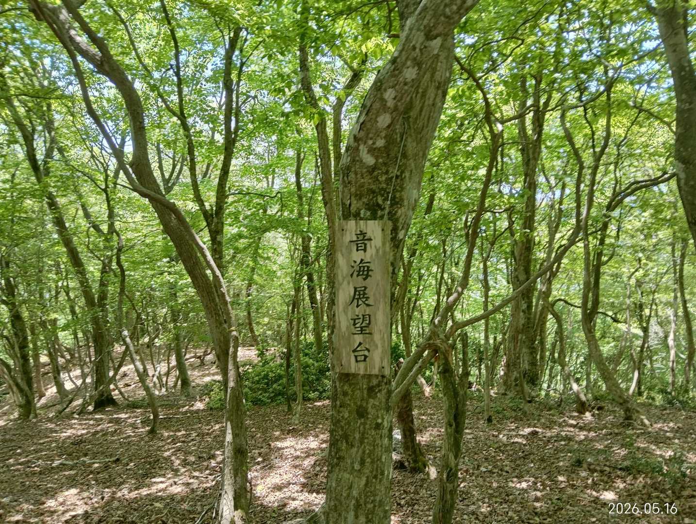 無展望台
冬なら見えるのかな

疲れたからもう撤退しようか迷った