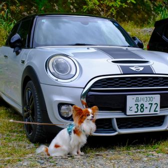 武甲山登山駐車場からのスタートです。