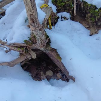 コップを付けた黄色の鎖？（コップは無かった）
ここが水源か？