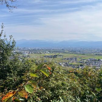 駐車場の近くに展望台あり