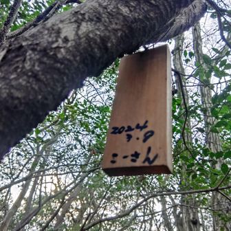 24/3/9こーさん参上🥷