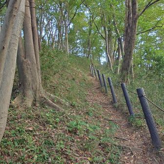 足元🦶に気を付けながら進んで行きます。