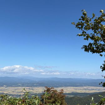 頑張って背伸びして撮る🤳
