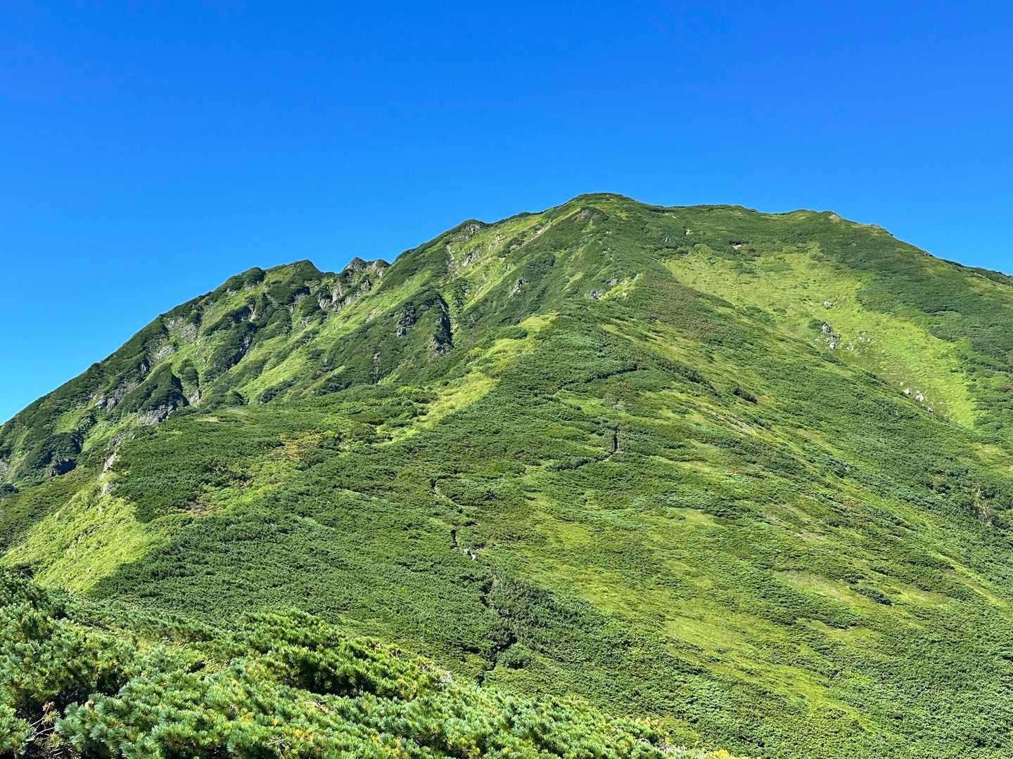 石狩岳の肩からあのてっぺん石狩岳に
むかいます