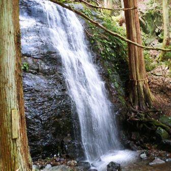姫路のパンダ(しんや)