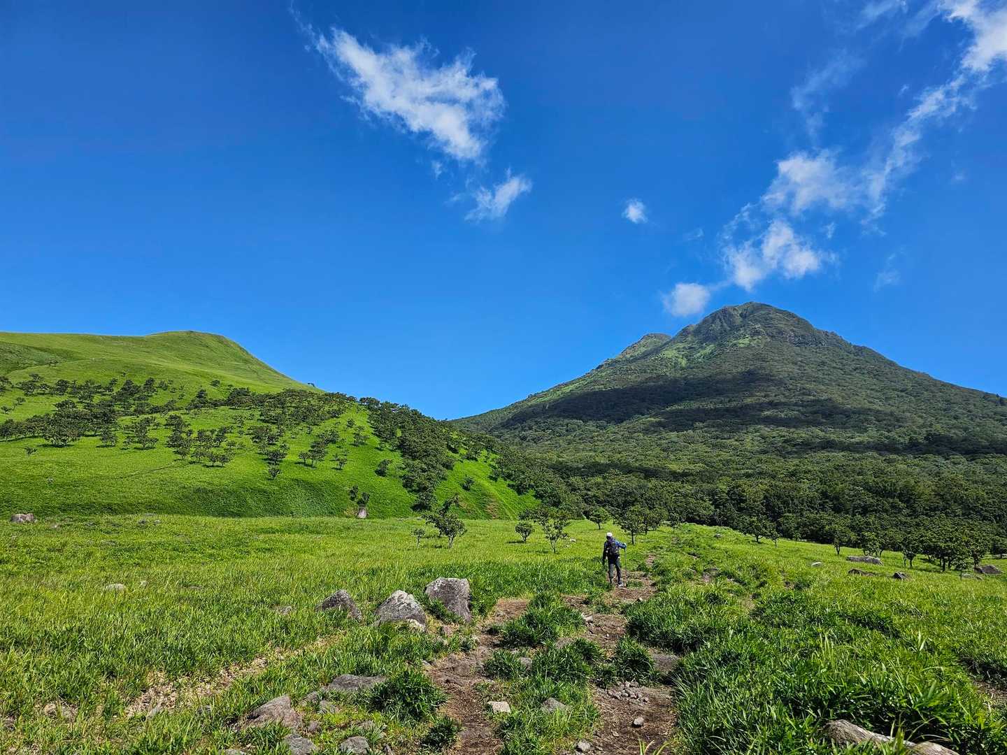 由布登山口バス停-正面登山口-飯盛ヶ城 往復コースの写真