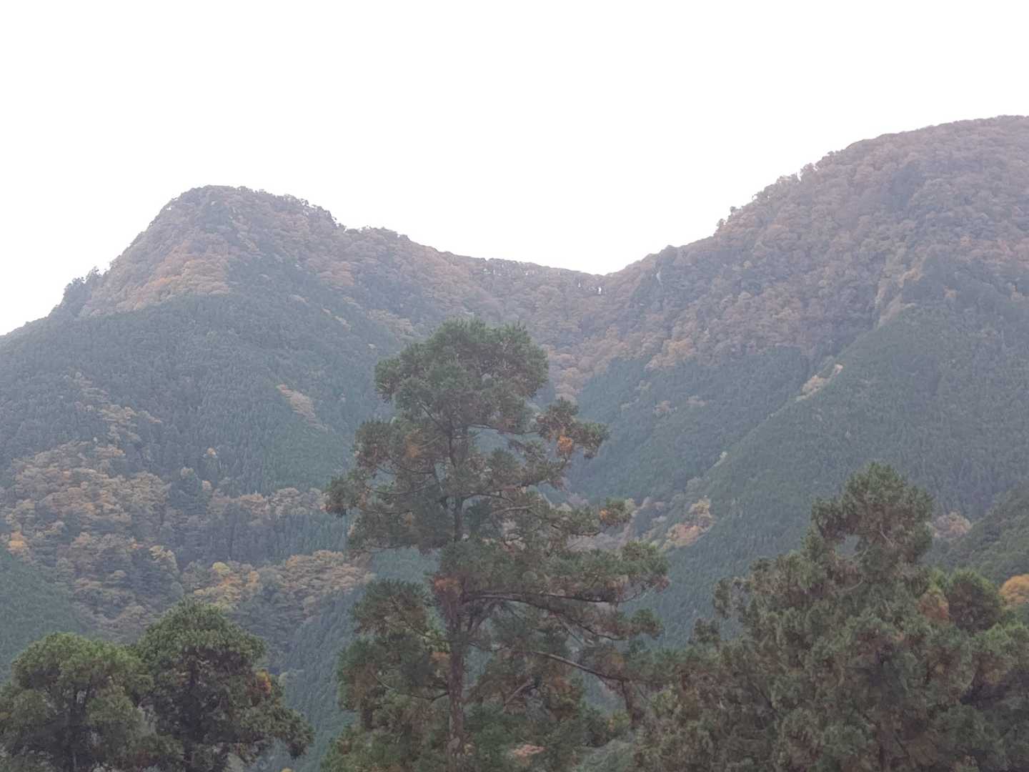 勝負塚山がよく見えます。