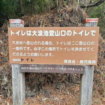 お花摘み禁止らしい(私はデビューすら出来てない。)