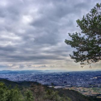 長尾山　山頂より