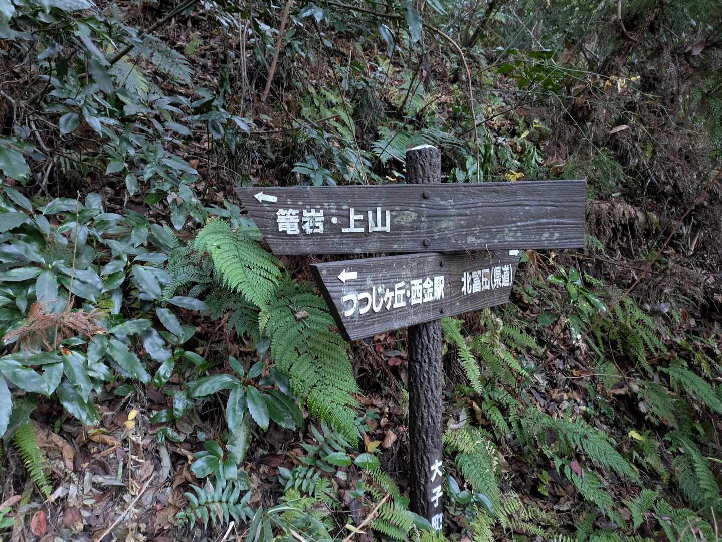 篭岩へ👈️
ここからしばらくつづら折りで登っていくよ。