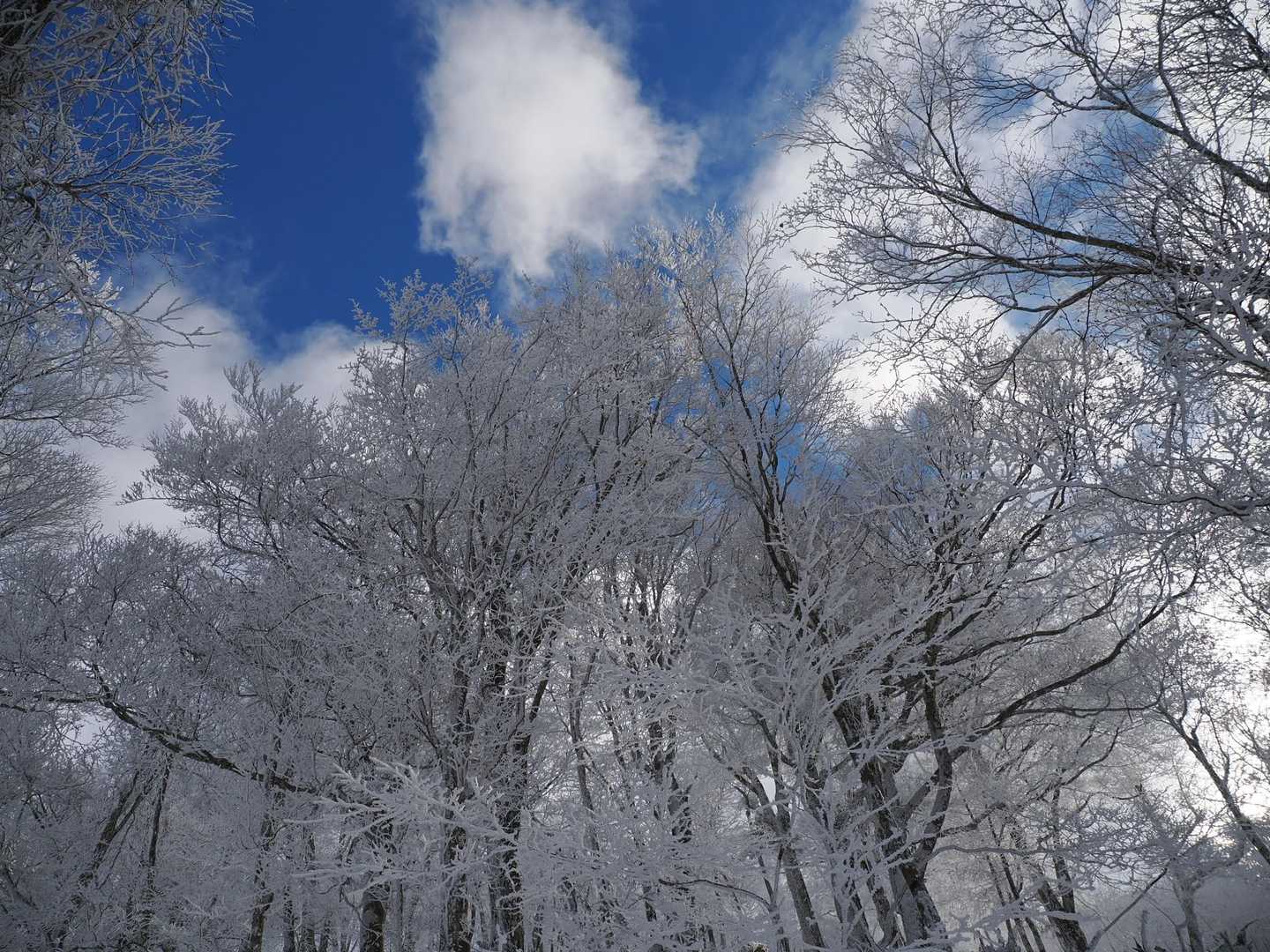予想通り青空👍